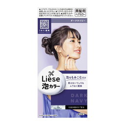 最安値 リーゼ 泡カラー ダークネイビー 108ml 医薬部外品の価格比較 最安値 リーゼ 泡カラー ダークネイビー 108ml 医薬部外品の価格比較